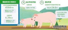 节本增效应对猪价起落